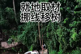 重生之我在乡下就地取材给50年仙人掌做了个家。#仙人掌 #石头 #荒野建造 #我的乡村生活视频封面