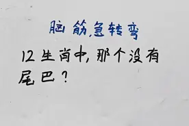 脑筋急转弯：12生肖中，那个没有尾巴？ #内容启发搜索