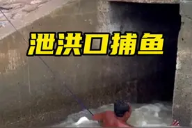 男子为了捕鱼铤而走险， 竟然钻进水流湍急的泄闸口#户外捕鱼 #抓鱼 #捞鱼也是技术活 #内容启发搜索