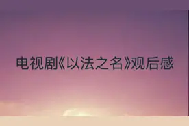 电视剧《以法之名》