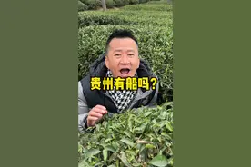哎，贵州遵义这边有船吗？#演员李嘉明 #踏青采茶 #茶是春天的仪式感