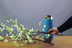 绿梅插花 木本枝条用这个固定方法特别的实用#东方插花 #倪志翔 #插花培训 #东方自然风 #插花艺术 @抖音短视频 @抖音创作小助手