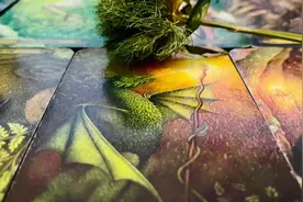 【妖月塔罗】分手断联Ta未来一个星期会联系你？针对复合建议！