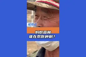 你知道吗？当你在手机端种下一棵树，当地就有一个农民帮你种树 #世界地球日#蚂蚁森林 #威观点 4月中旬，我们和蚂蚁森林去了三北防护林河北丰宁小坝子视频封面