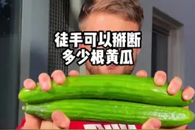 徒手可以掰断多少根黄瓜？ #内容启发搜索 #涨知识 #科学探索视频封面