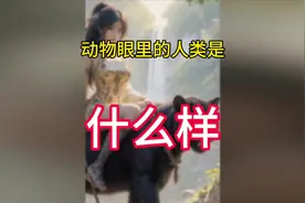 动物眼里的人类是什么样子？ #进化论 #动物 #生物科普