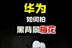 华为如何拍黑背景梅花#梅花 #拍花技巧 #华为手机拍照技巧 #梅花怎么拍好看 #手机摄影