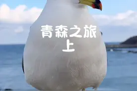 听说东北的雪都跑到日本来了 带你看看世界第一降雪量 日本青森的冬天吧#日本 #2024抖音生活记忆 #新年第一拍#千万生活dou来拍