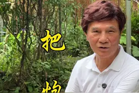 大家知道粤语中“把炮”的由来吗#宝珊讲古 #粤语文化