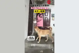 闺蜜带狗上门求寄养，狗子熟门熟路往里冲，女子一脸懵#搞笑 #闺蜜 #狗子视频封面