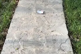 开玩笑！你以为这学生证谁都能捡的吗？😜 #精神状态belike #开玩笑别当真 #搞笑 #直男 #意想不到的结局