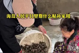 带你们看看，海岛不做养殖户的家庭，平日里除了打零工，还在靠什么来贴补家用#海边生活 #赶海 #记录真实生活 #新农人创业