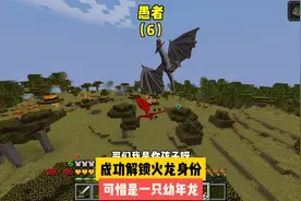 愚者（6）:成功解锁火龙身份，可惜是幼年龙#我的世界 #游戏