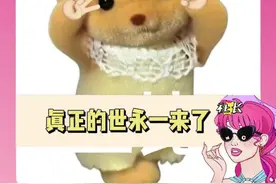 这又是谁的一辈子 #关税 #玩梗 #追星 #抽象视频封面