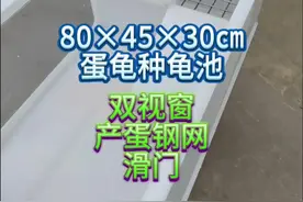 80×45×30㎝蛋龟种龟池，双视窗★产蛋钢网★滑门，很nice的设计和做工！#养龟日常 #龟缸 #龟宠时代