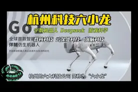 杭州六大科技公司#AI科技#实力企业#AI先驱视频封面