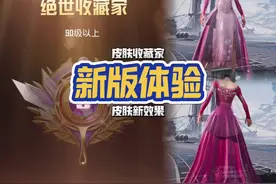 和平精英体验服新增两种皮肤特效和收藏家功能以后你们打晋级赛…