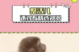 垂死病中惊坐起，抖音精选年终好活我不能没有你！#整活儿还得看精选神器 #抖音精选 #精选好活 #抖音精选年终好活视频封面