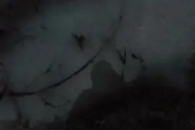 我已经快记不清这是你离开的第几天了 我该去哪找你 我好想你