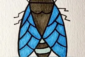 知了简笔画#简笔画 #简笔画教程 #一学就会的简笔画 #画画#内容启发搜索