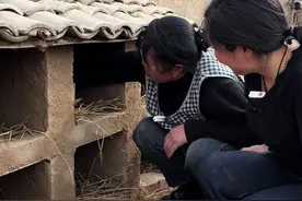 今天分享一个腌咸鸡蛋的做法，方法还非常简单，腌制出来的鸡蛋，个个出沙，个个流油可好吃了#腌鸡蛋 #咸鸡蛋 #我的乡村生活 #抖音美食推荐官 #农村生活