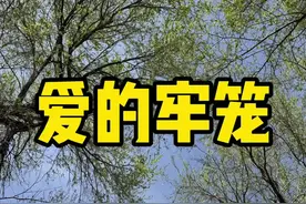 爱的牢笼 好的教育，是“允许孩子成为他自己”。一般的父母看到这句话，都会点头。但是我要说：允许孩子随意吃零食，允许孩子充分的看手机，允许孩子在泥地里肆意玩耍，允许孩子大哭大闹发脾气，允许孩子不上学...... 那我们的父母们估计认为我是疯了。所以，我自己说的话我自己是能落地的，但是外面观望的家长把我的话当鸡汤喝。#谱系成长 #家庭陪伴 #发育迟缓 #分离 #牢笼视频封面
