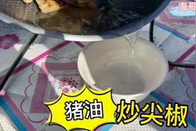 五花肉炒尖椒真是香，这肉出油真多#正宗土猪肉 #猪肉分割技巧