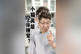 千万别让小猫上床睡，小猫上床睡的2点危害，以及注意的风险#新手养猫 #养猫经验分享 #寄生虫 #驱虫