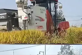 #农民用皮卡车给农机拉柴油，路政以拉危险品为由罚30000元，执法用法不当视频封面