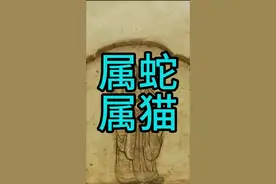 属蛇还是属猫 十二生肖，到底是蛇还是猫？#蛇年 #知识分享 #古玉 #历史知多少 #十二生肖视频封面