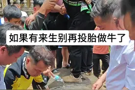 台江反排第一架对碰 后续 百块钱两斤 #小强斗牛直播#斗牛 #贵州斗牛 #内容启发搜索视频封面