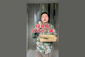 绿萼梅 安徽黄山的绿梅花，也叫绿萼梅和白梅花，泡水喝特别好。#绿萼梅#白梅花