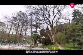 武汉大学是国家教育部直属重点综合性大学，是国家“985工程”和视频封面