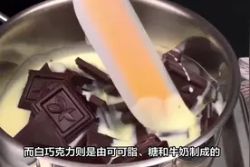 #治愈系美食 #甜品控 #巧克力 白巧克力和黑巧克力的区别视频封面