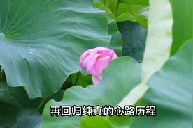 如果一个女人突然变得有气质了，整个人的精神状态也变得焕然一新视频封面