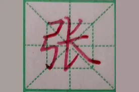 张  #规范字书写