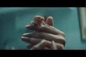 Vets4Pets - 感谢我们的兽医