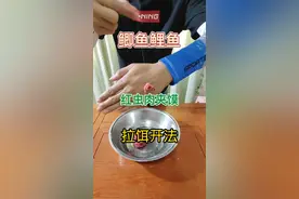 @百战渔具 红虫肉夹馍拉饵开法 鲫鱼饵料鲤鱼饵料#饵料 #鱼饵