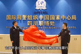 国际刑警组织视频封面