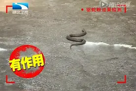 湖北卫视在市场上购买我公司生产的驱蛇粉，实际检测，效果明显视频封面