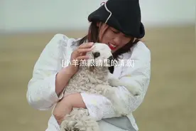 来年春天，愿我再见你时， 人间已是：衣襟带花，岁静风平。视频封面