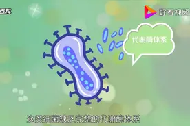 #什么是厌氧菌，厌氧性细菌视频封面