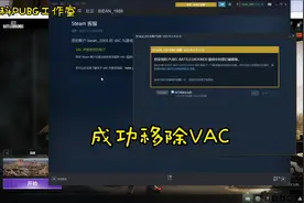 绝地求生vac成功移除#绝地求生解封 #pubg解封 #vac封禁视频封面