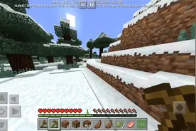 我的世界错误生存尾片有惊喜！