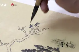 中国教育电视台.CETV2,CETV4视频封面