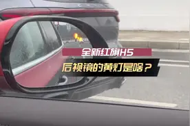 #旗愿新春 后视镜上有个黄灯这是啥呀？V哥干货分享！可好用啦视频封面