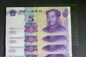 5圆💰后面6位相同的 就叫做“大象🐘号”  #纸币 #收藏爱好者