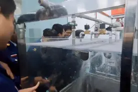 建筑消防技术专业欢迎大家报考#风采展示 #蓝朋友视频封面