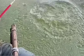 东莞水上田园交学费#2022dou来钓鱼 #全网钓鱼大师都在盘老板