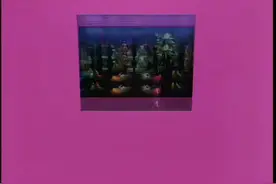 #十二大美女 NO.29 最後的探戈 - 王彩樺 #美女视频封面